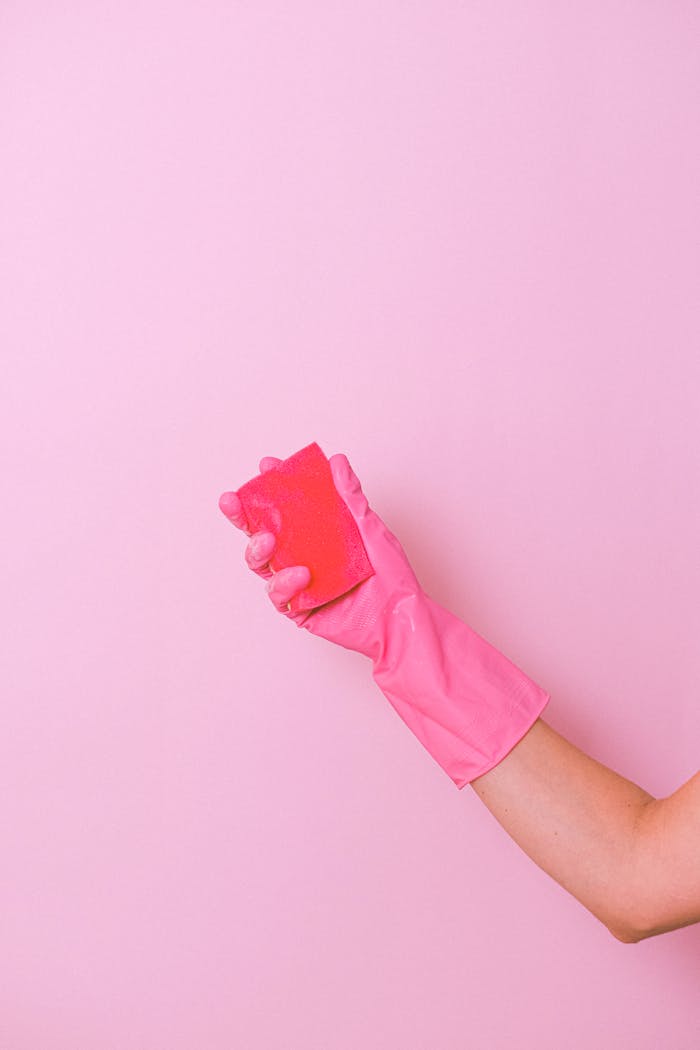gallery-1 Unrecognizable housekeeper wearing latex glove standing on pink background with sponge in hand for cleaning dirt surface in bright studio